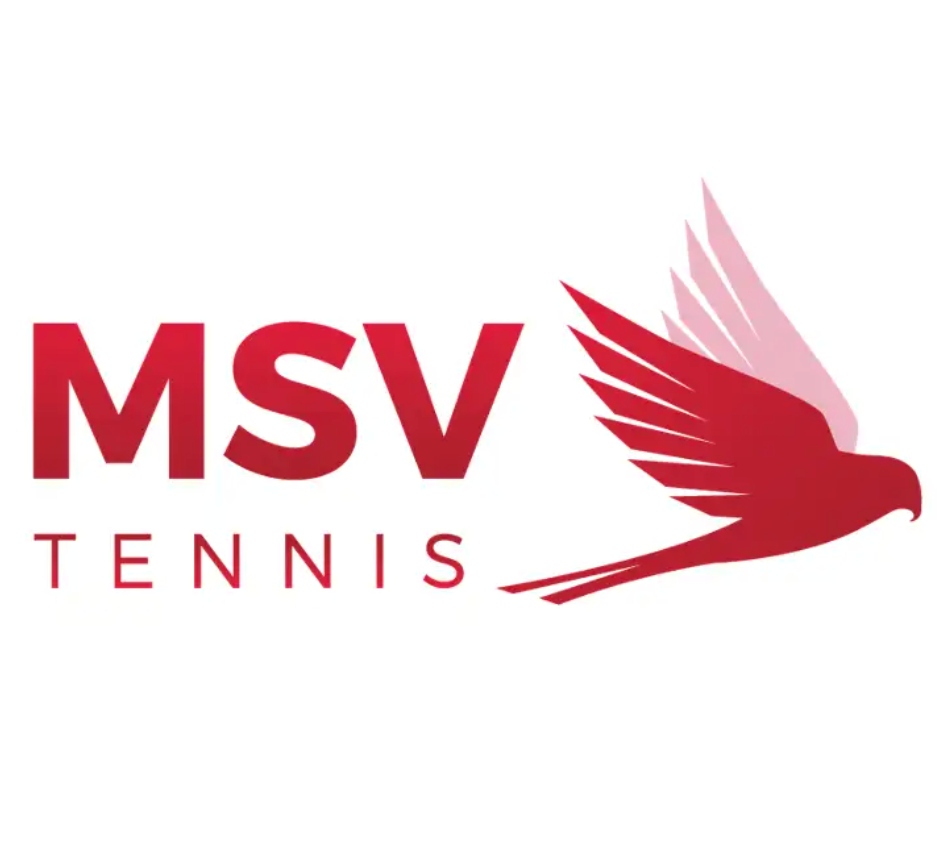 MSV